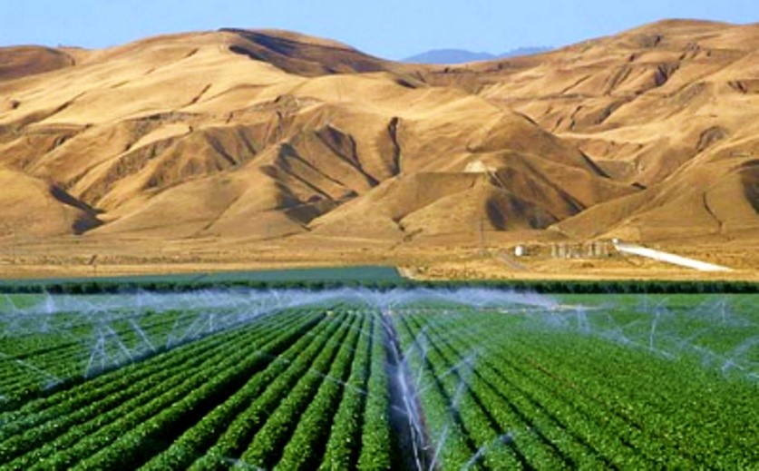 Site - Agro - Israel