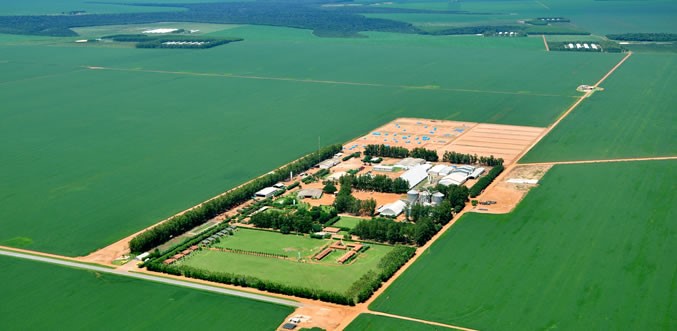 Site Agro Paraná 1