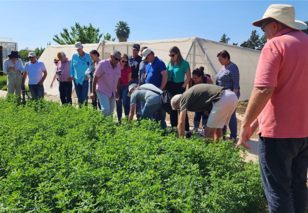 Site - Agro - Israel 3